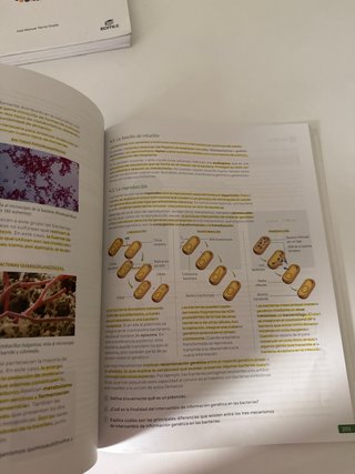 Biología, Geología y Ciencias Ambientales. 1 Ba...