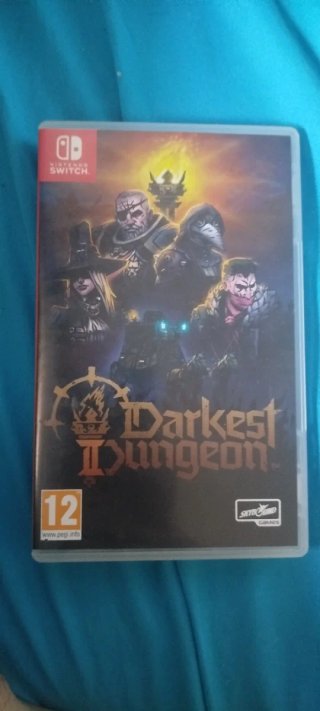 Darkest Dungeon 2 Switch