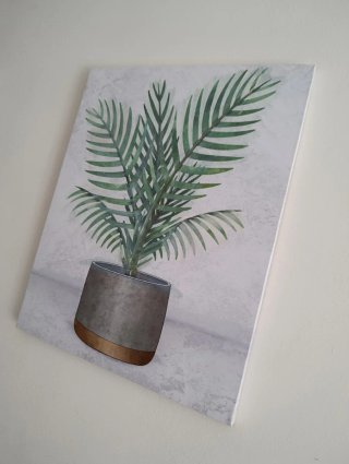 2 Cuadros Decorativos Plantas 40x50