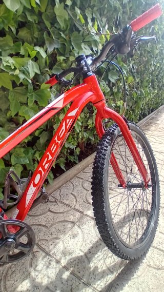 Bicicleta Orbea MX Dirt 24 Niñ@s