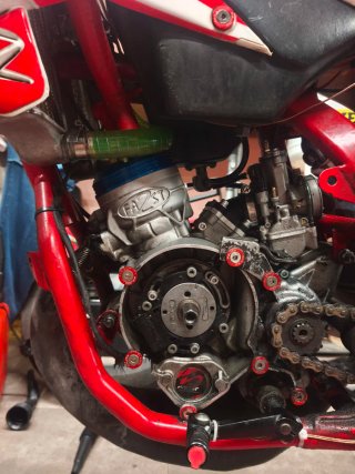 100cc 2Fast AM6