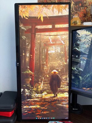 Monitor LG 25UM58-P