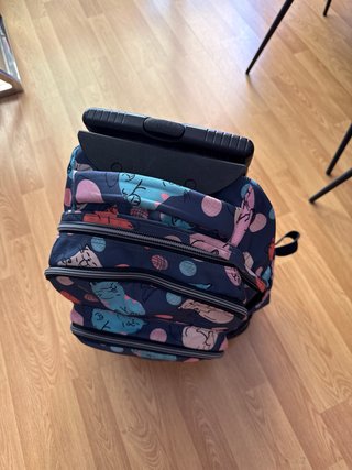 Mochila escolar con ruedas y estampado de gatos