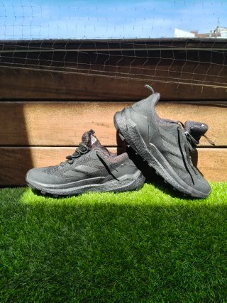 Zapatilla Terrex Free Hiker 2.0 Low Gore-Tex Hikin