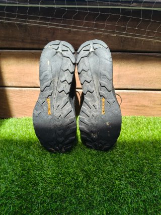 Zapatilla Terrex Free Hiker 2.0 Low Gore-Tex Hikin