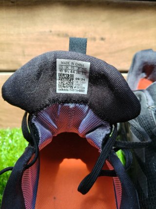 Zapatilla Terrex Free Hiker 2.0 Low Gore-Tex Hikin
