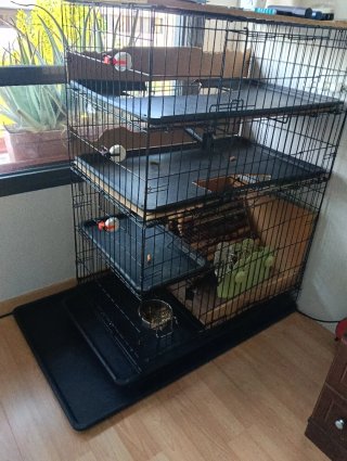 Jaula para gatos o conejos multinivel y desmontabl