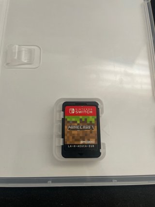 Minecraft Nintendo Switch