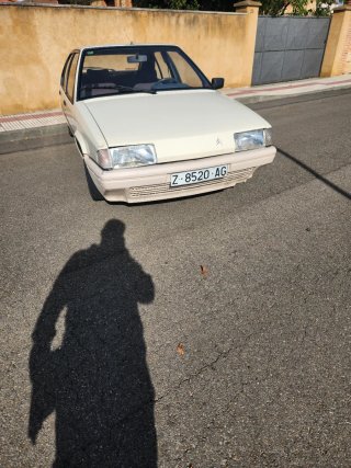 Citroen bx 1989