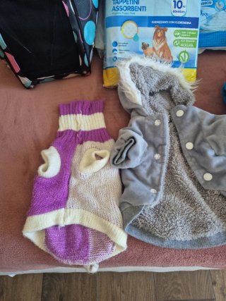 Abbigliamento cane taglia piccola Borsa trasporto