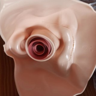 Anne face skin | LAERDAL