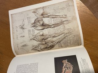 Libro anatomía Leonardo Da Vinci