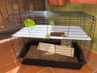 Jaula para cobaya o conejo (regalo)