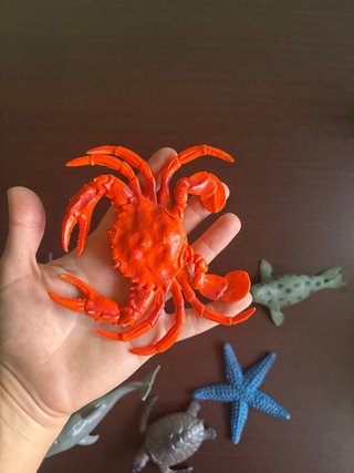 Pack 6 figuras animales marinos