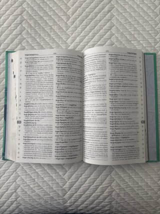 Manual griego clásico-español diccionario bilin...