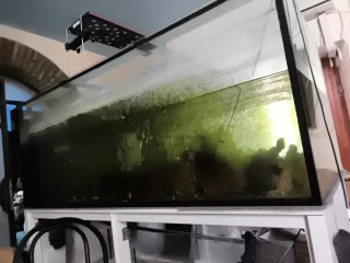 Acuario de 750L