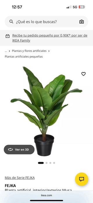 Planta artificial bambú y planta interior/exterior