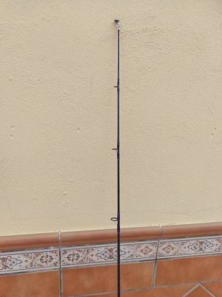 Caña Daiwa Sealine Jigging 170