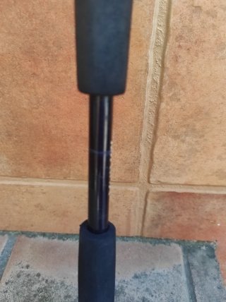 Caña Daiwa Sealine Jigging 170