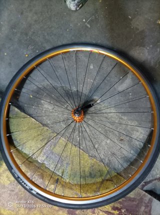 Rueda delantera Mavic dorada