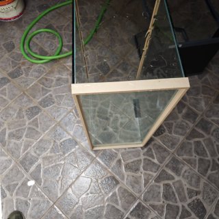 Lote acuarios 25L, 100L, 60L