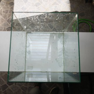 Lote acuarios 25L, 100L, 60L