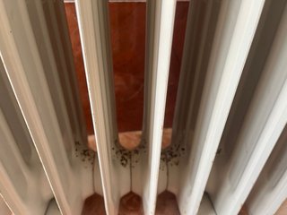 Radiador Aceite Fagor 7 Elementos 1200W