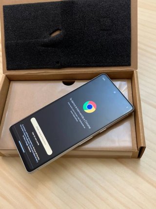 Google Pixel 7 Blanco Plata