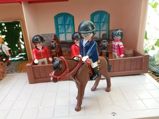 Lote Hípica Playmobil Casa y Pista