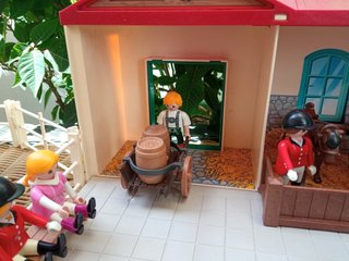 Lote Hípica Playmobil Casa y Pista
