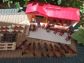 Lote Hípica Playmobil Casa y Pista