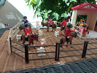 Lote Hípica Playmobil Casa y Pista