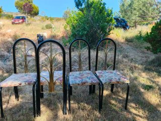 Sillas metálicas con asiento floral