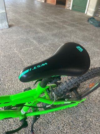 Bicicleta Infantil Verde WST Sniper 20 “