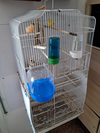 Jaula grande para pájaros