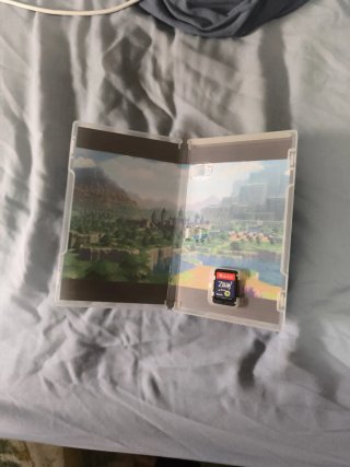The Legend of Zelda: Echoes of Wisdom Switch