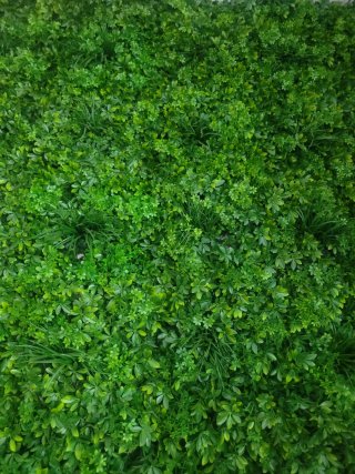Pared de plantas artificiales