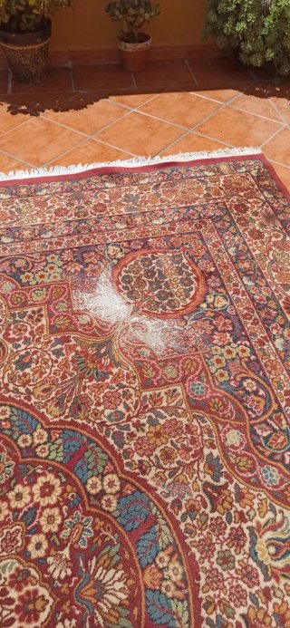Alfombra Persa Multicolor