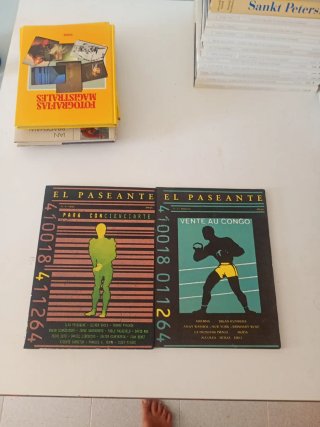 El paseante revista