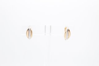 Pendientes de Oro 18K (4-679)