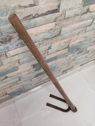 binadera de dos púas, escapulín o garranchuelo