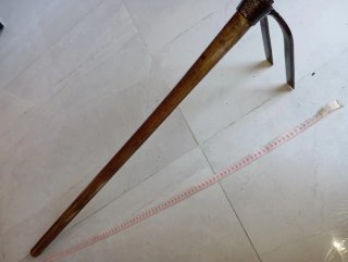 binadera de dos púas, escapulín o garranchuelo