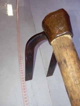 binadera de dos púas, escapulín o garranchuelo