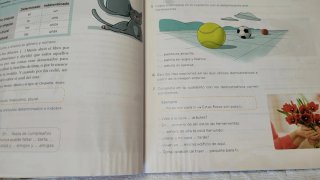 Libros de Lengua Anaya 5 primaria