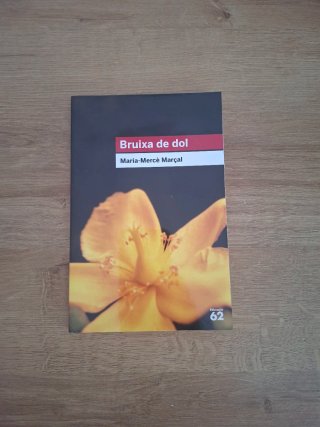 Lote de libros selectividad 2ndo bachillerato