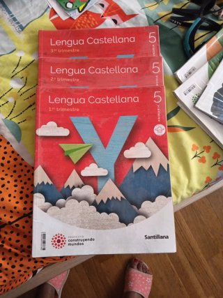 Lengua castellana, 5 Primaria