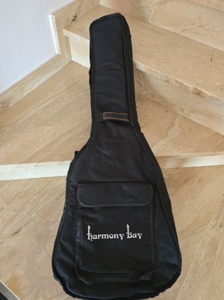 Guitarra Tanglewood Discovery DBT SFCE BW