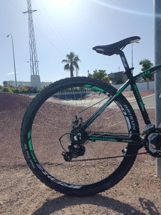 Bicicleta Bottecchia FX-116 29