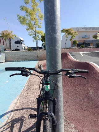 Bicicleta Bottecchia FX-116 29