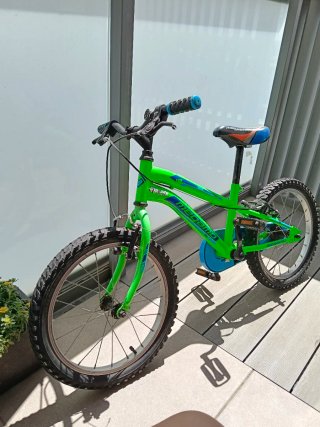 Bicicleta Infantil Mammoth 18